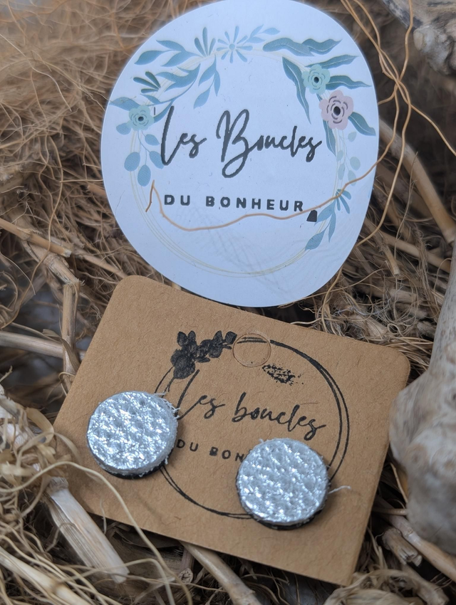 Boucles d'oreilles puces argenté pu035