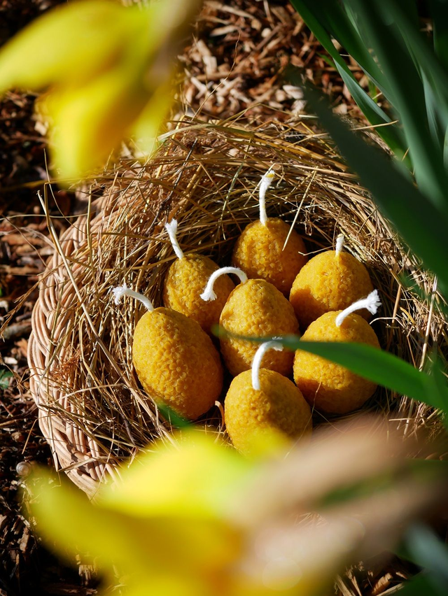 Bougie Oeuf fleuri