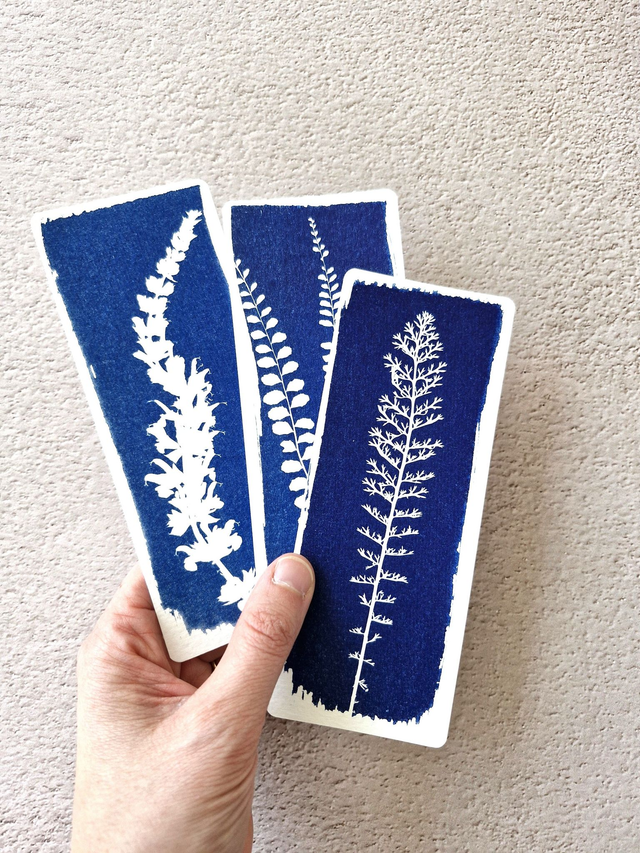 💙3 Mini CyanÔ - Composition 7