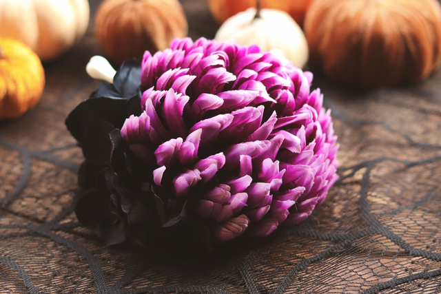 Hairflowers• XL • Purple from the grave