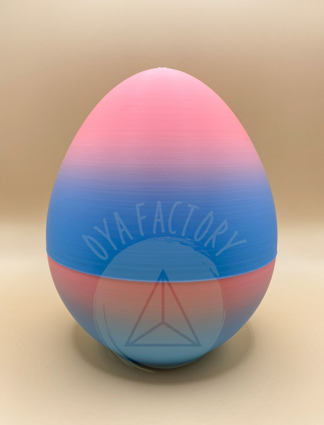 Contenant œuf grand modèle variante n°2