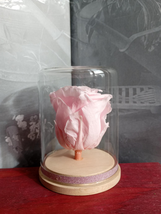 S06 unique rose rose