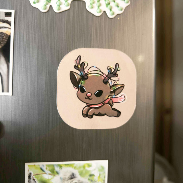 DAY 10 - Renne - Magnet