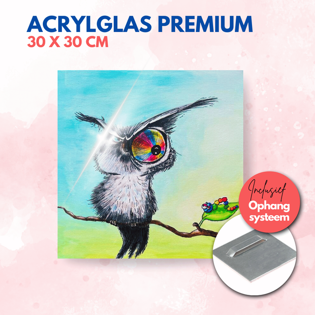 Uil en rups | Acrylglas premium