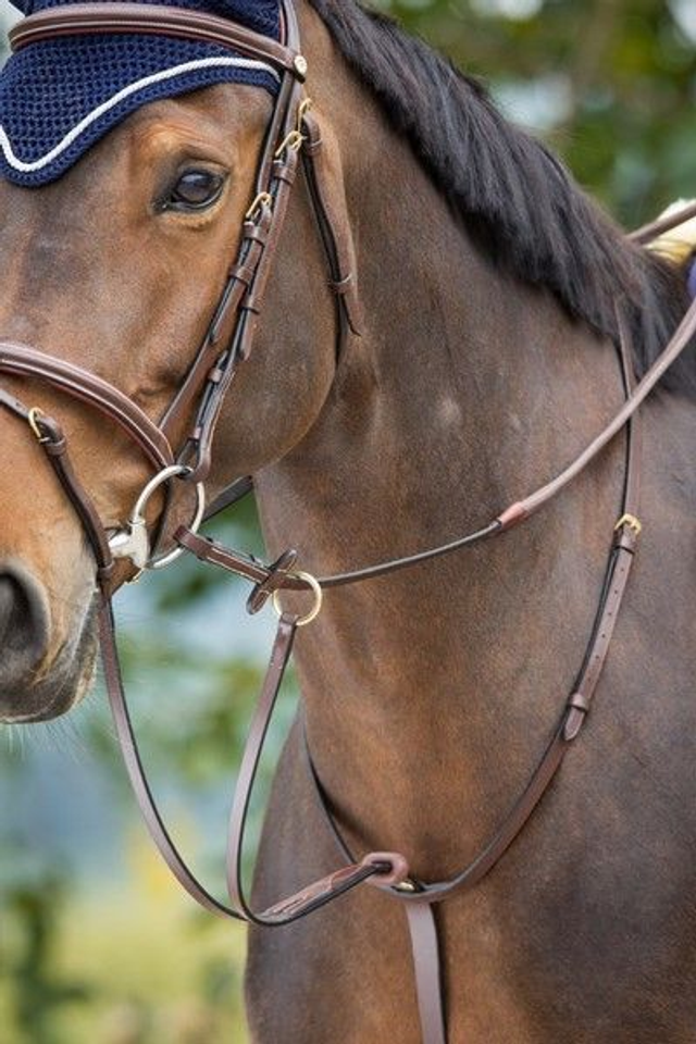 Martingale à anneaux HFI