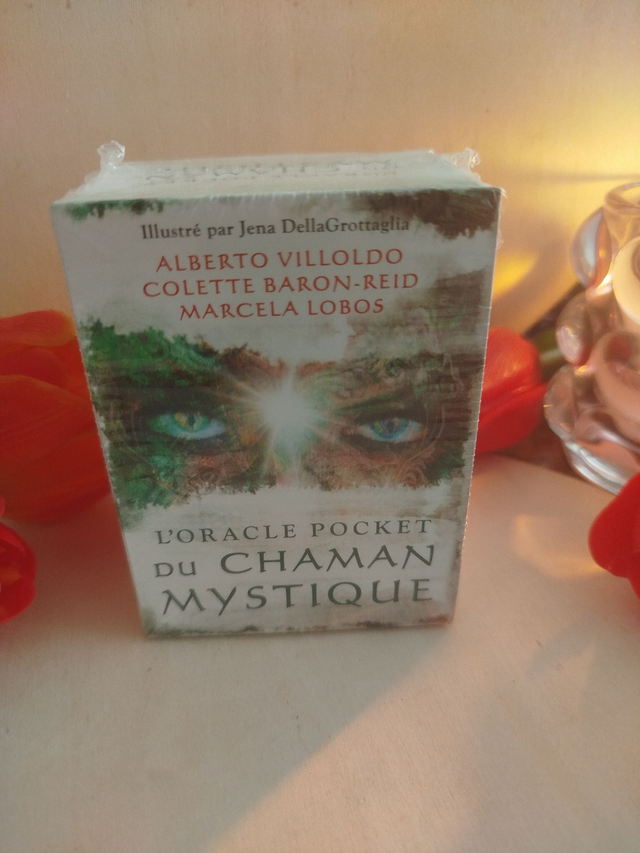 🌿 L’Oracle Pocket du Chaman Mystique