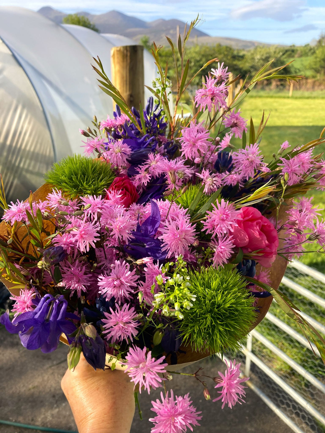 Fresh Flower bouquet - Pink Jenny