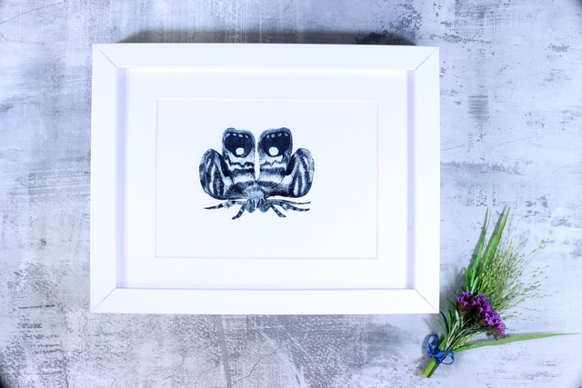 Drypoint Print: Metalmark Moth (Brenthia)