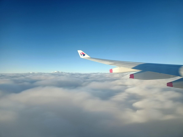 Balance Travel – Fiori di Bach per Benessere Emotivo in Viaggio