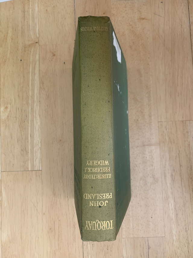 Torquay the Charm and History of Its Neighbourhood 1920 Devon