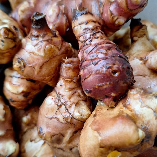 Aardperen (Jeruzalem-artisjokken) 