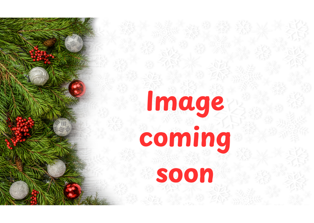 Peppermint Crisp Tart - Single  portion - minimum order 3