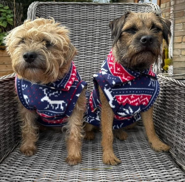 Christmas fleece jumper