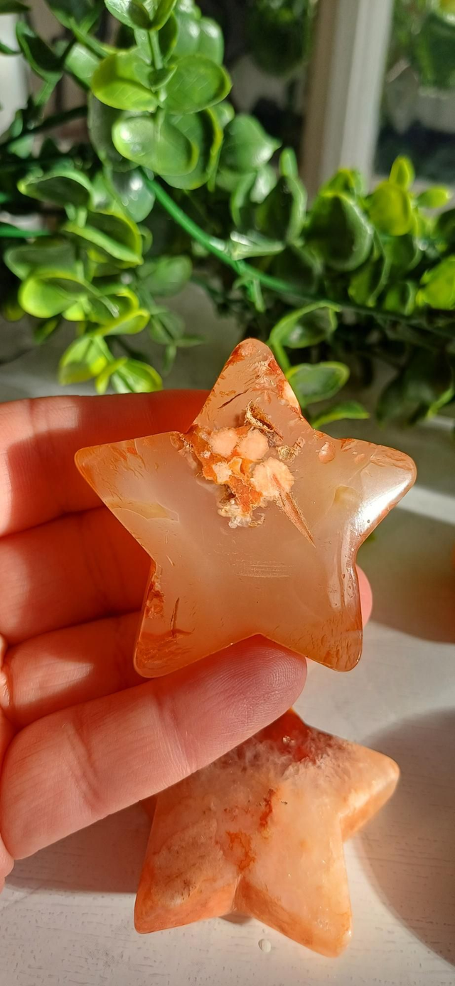 Carnelian with Flower Agate Star No. 2