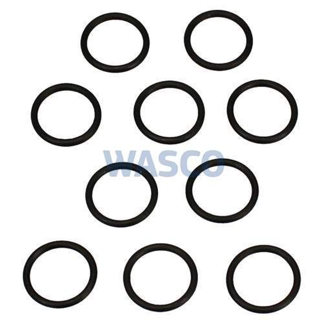 V-981163 O-ring p/st