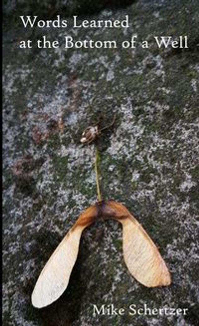 Words Learned at the Bottom of a Well