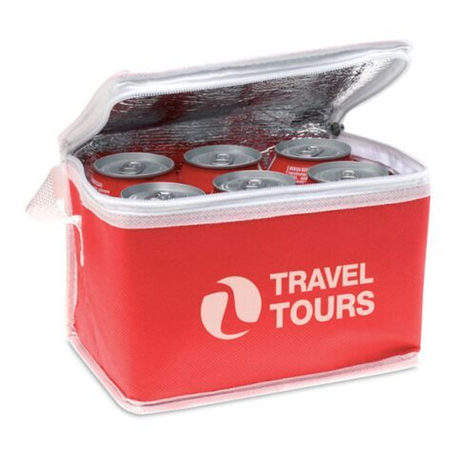 Nonwoven 6 can cooler bag