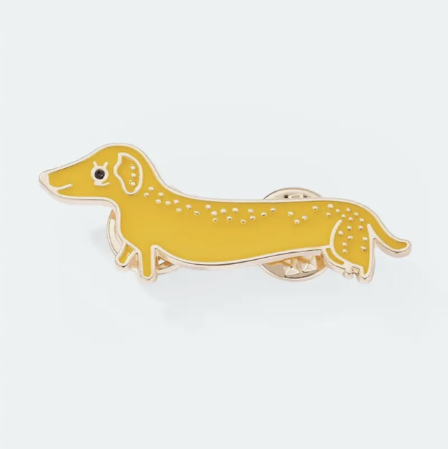 Pin Dackel