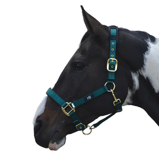 HY Deluxe Padded Head Collar GREEN