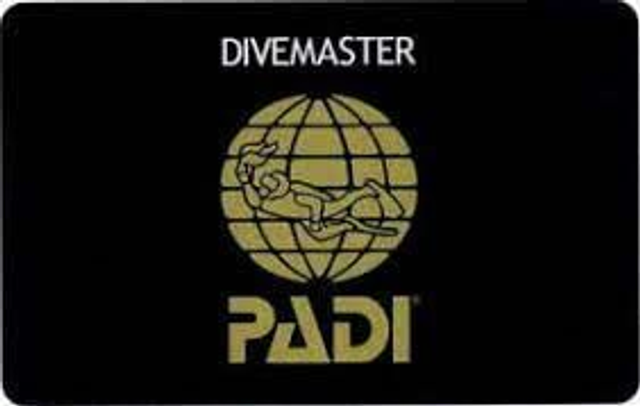 Dive Master Ohne kit