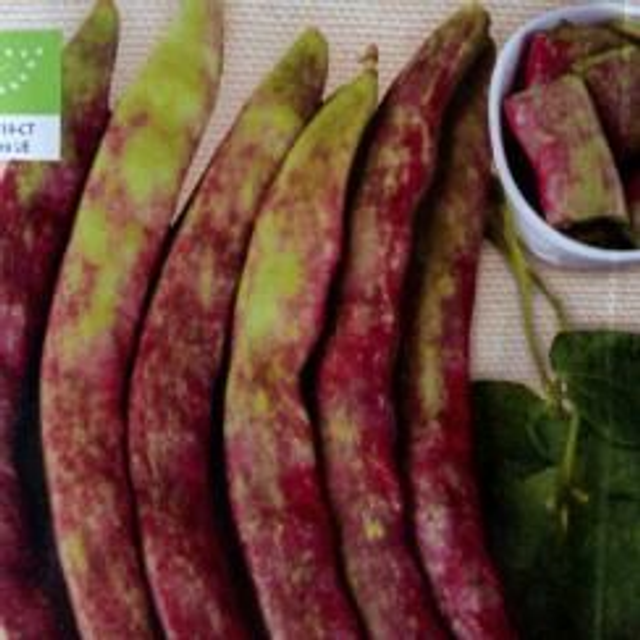 S. judía de enrame buenos aires