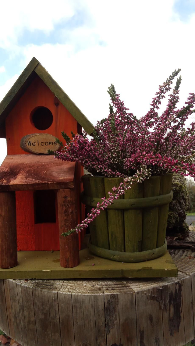 Compo cabane bruyère