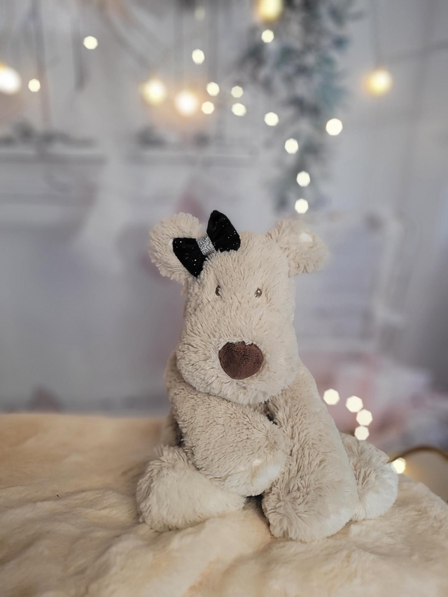 Barrette noir et argenté 🎄