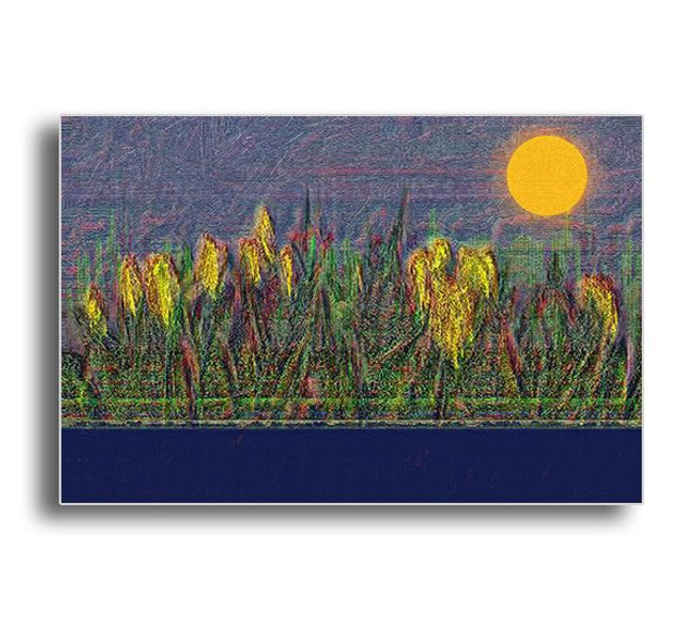 02 Nature - Above Sea Level, 2025.