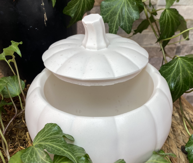 Citrouille avec couvercle