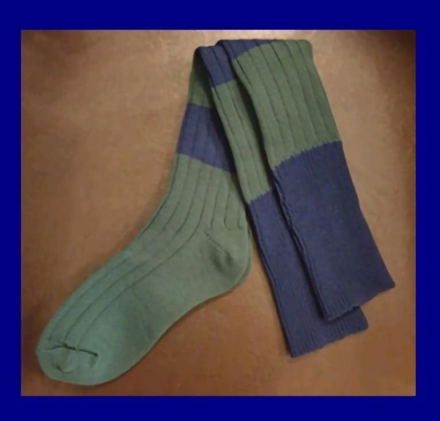 BPS Sports socks