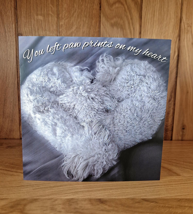 'You left paw prints on my heart' card
