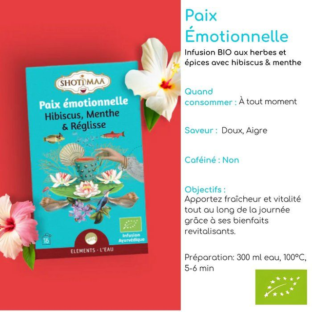 Box Détente : Infusions Bio Vitalité Douce, Équilibre Émotionnel, Digestion Légère et Sommeil Paisible (1)