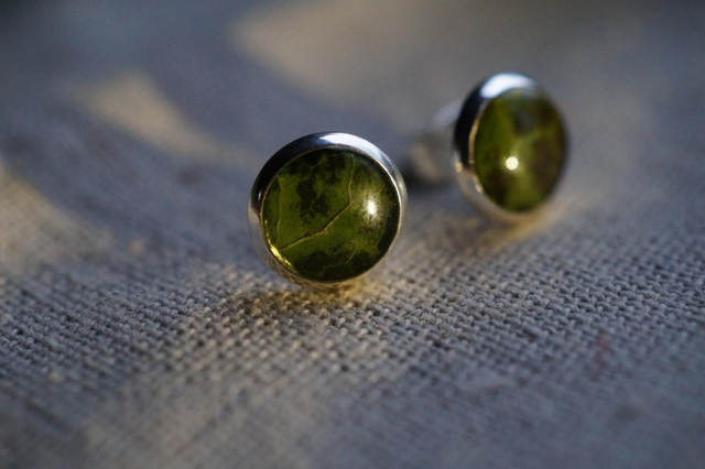 Clous d'oreilles - Lierre