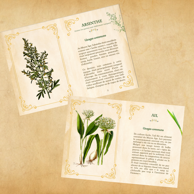 Plantes magiques du Moyen Âge