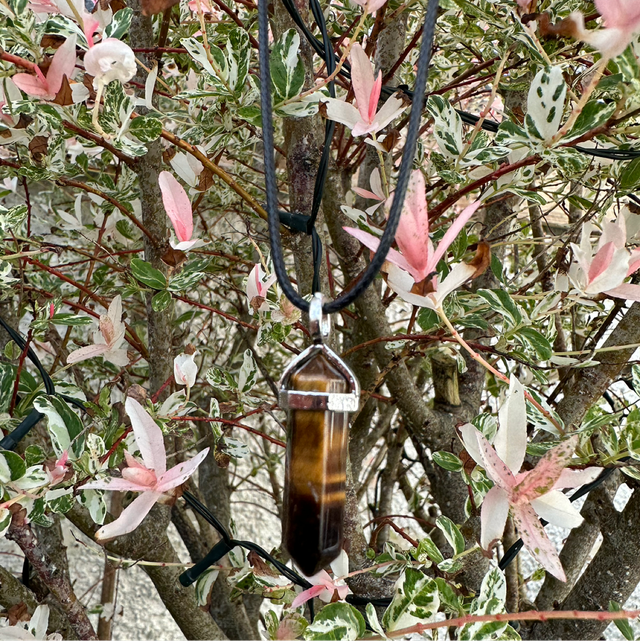 Tigers Eye Point Pendant 