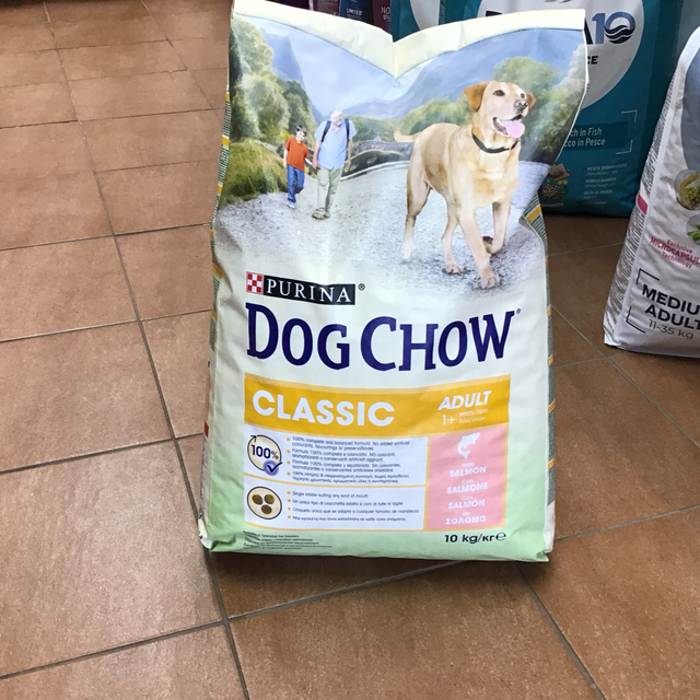 PURINA DOG CHOW ADULT 10KG SALMONE 