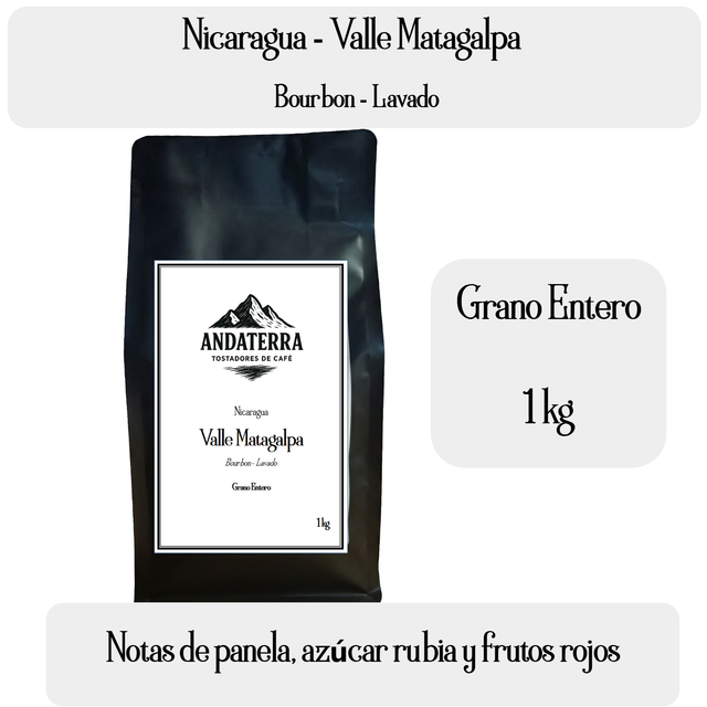 Café Nicaragua Grano Entero 1 kg Lavado Tueste Medio