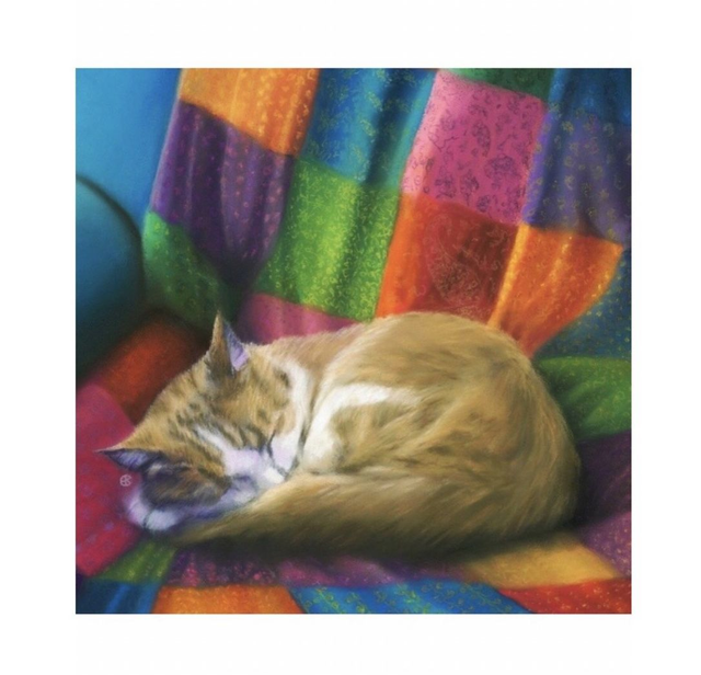 Print (medium) 'KEES' (Konijnenparadijs)