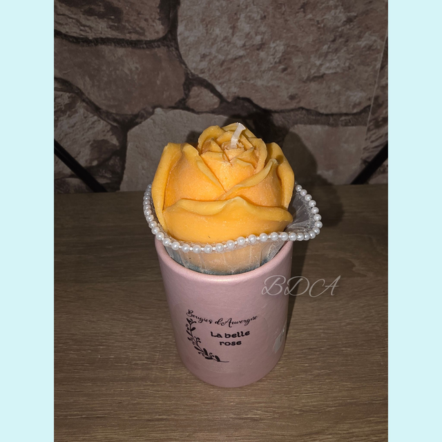 La belle rose