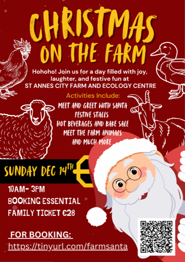 Christmas on the Farm - Meeting Santa
