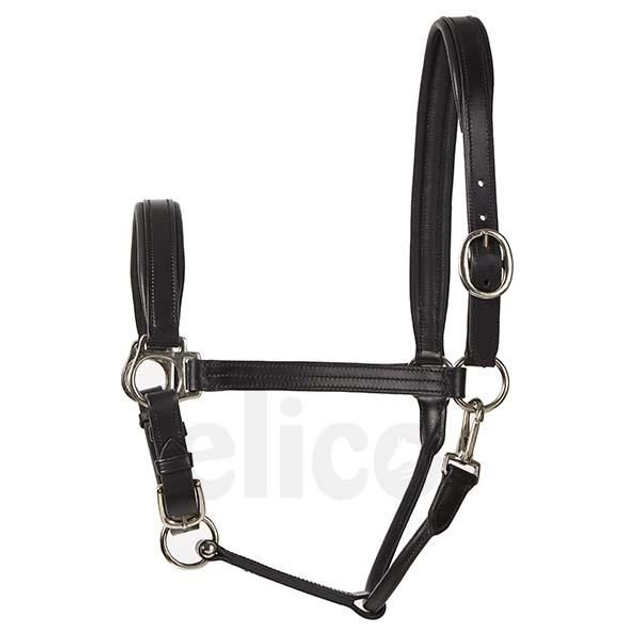 Elico Bremen Headcollar