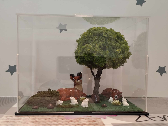 La Vitrine des jeunes cerfs