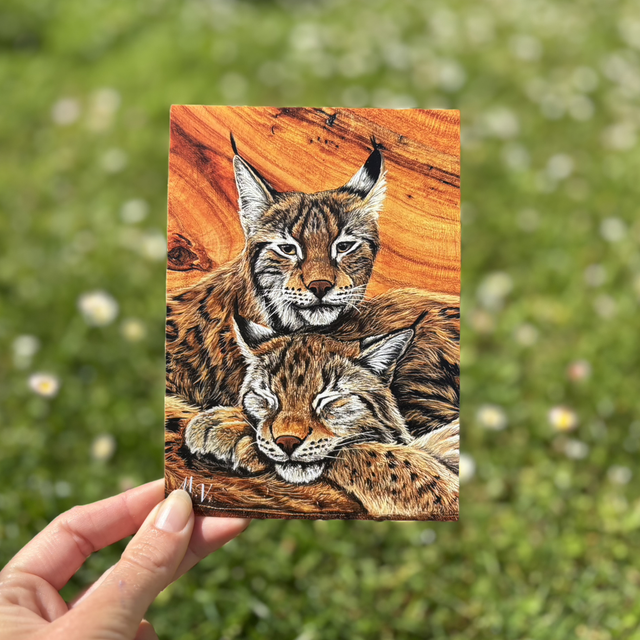 " Regard oublié " - Lynx - carte postale - 10 x 15 cm