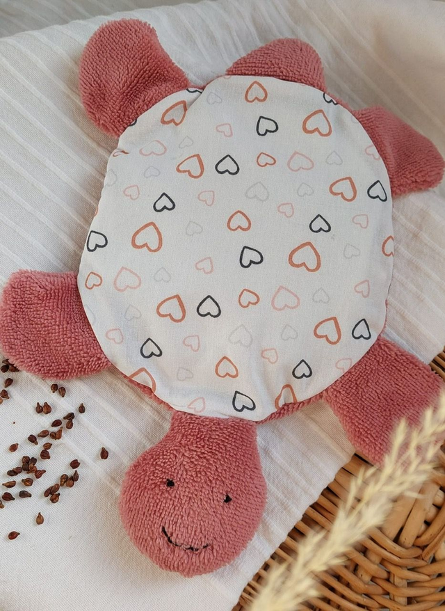 La Tortue bouillotte