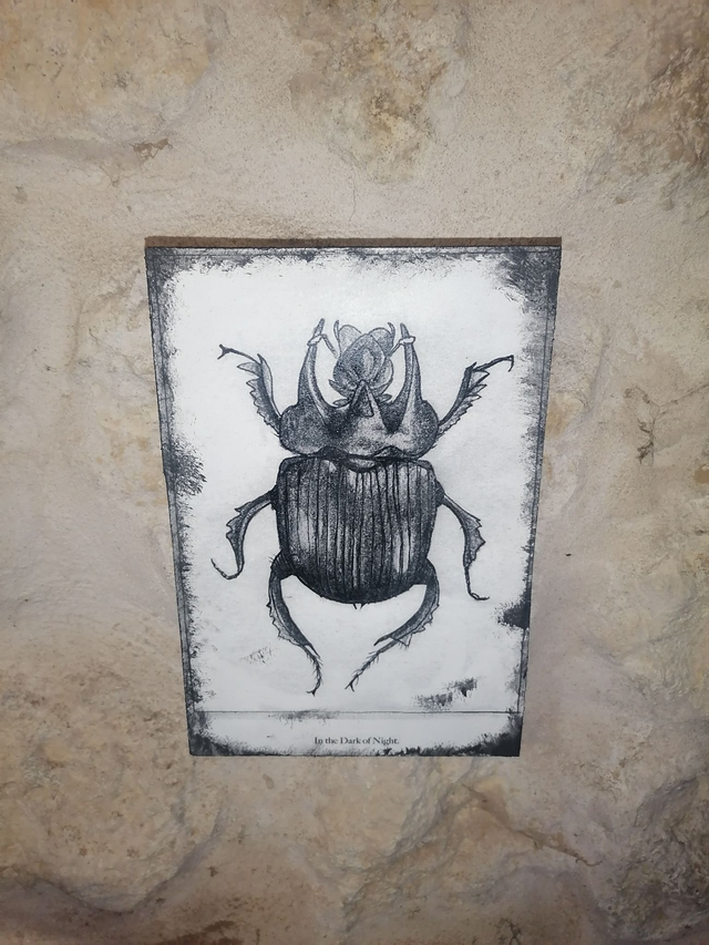Plaque insecte