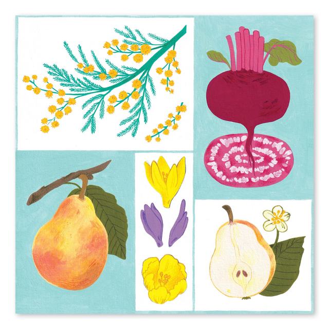 Illustrations du calendrier 2024