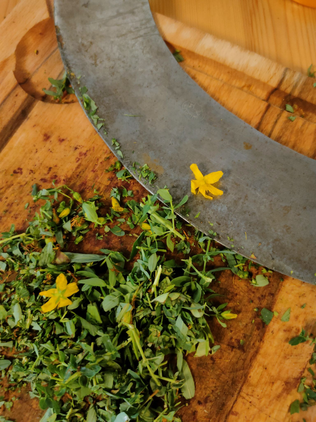 Alcoolature Millepertuis