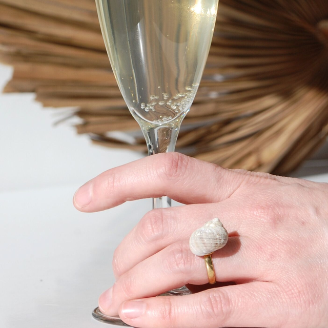 SEA SHELL RINGS – different textures and colors available  