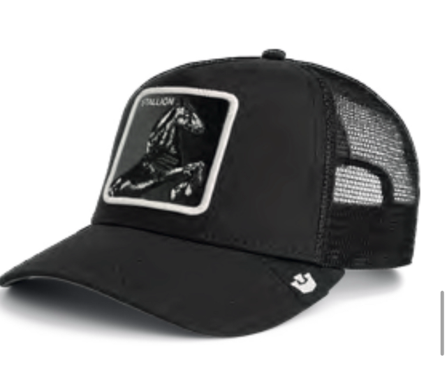 101-2451 Stallion Trucker Goorin Bros 