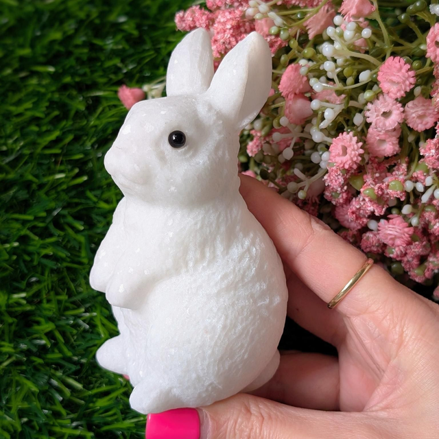 White Jade Bunny Rabbit 🐰